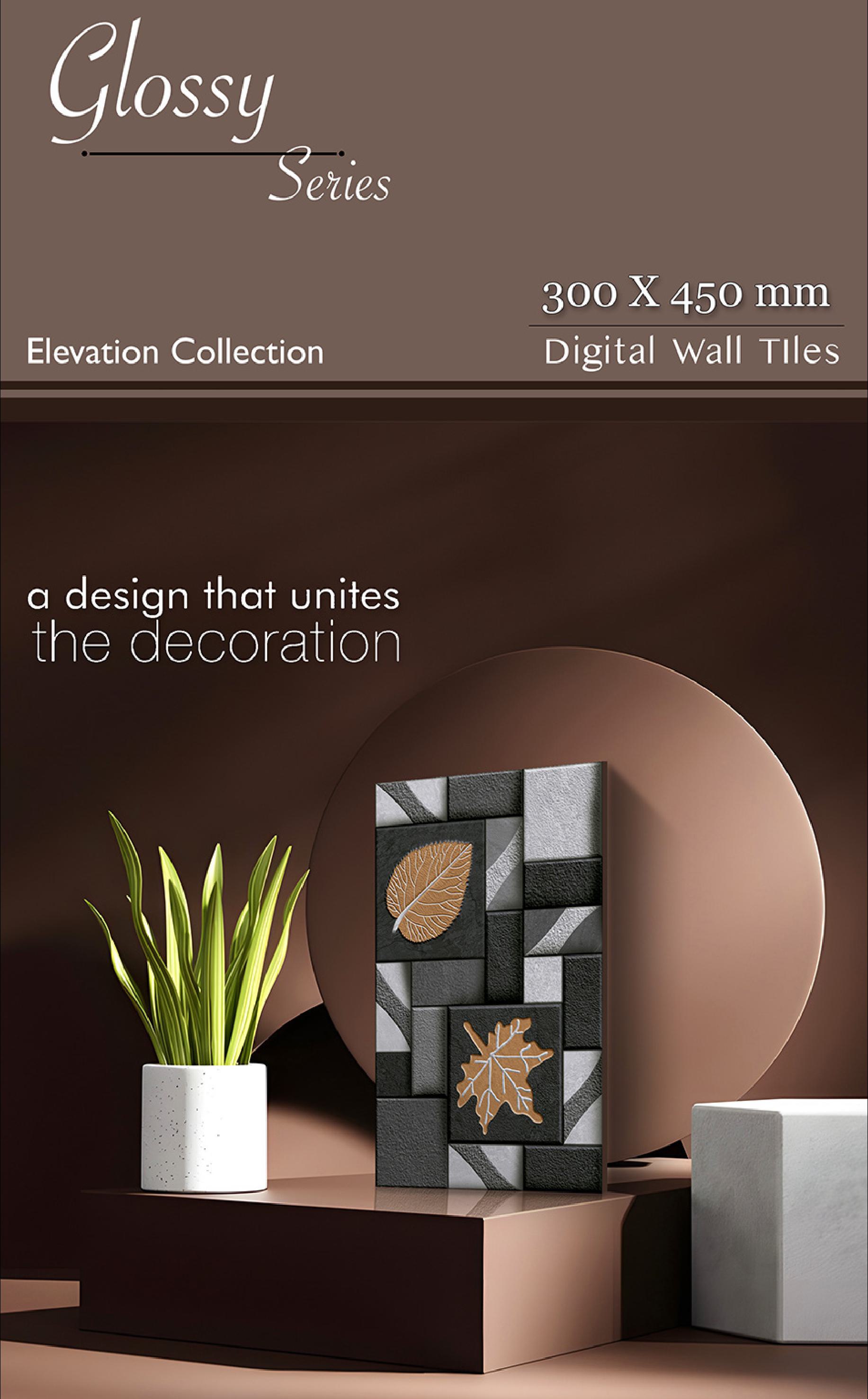 Elevation Collection 01