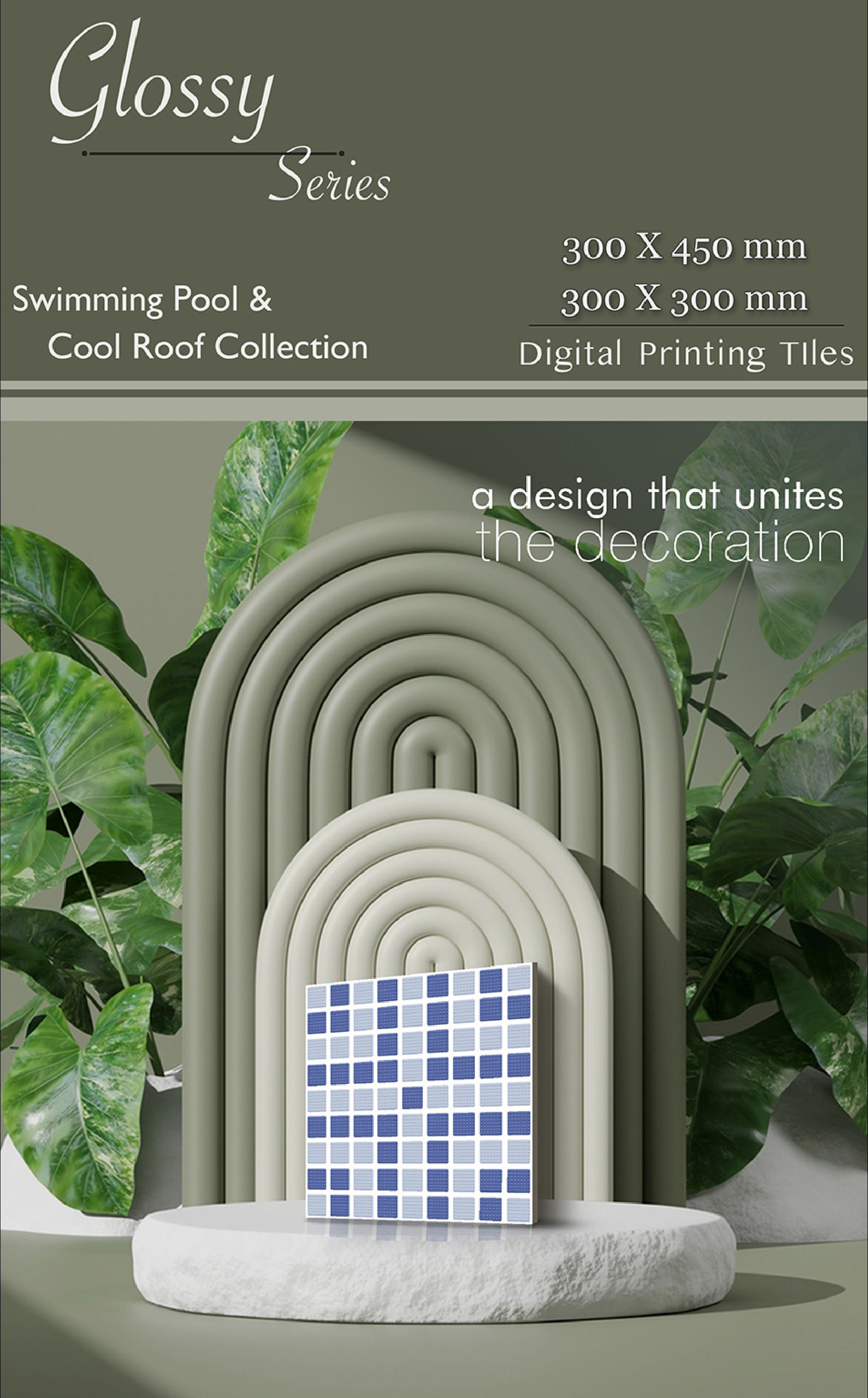 Swimming Pool & Cool Roof Collection 01