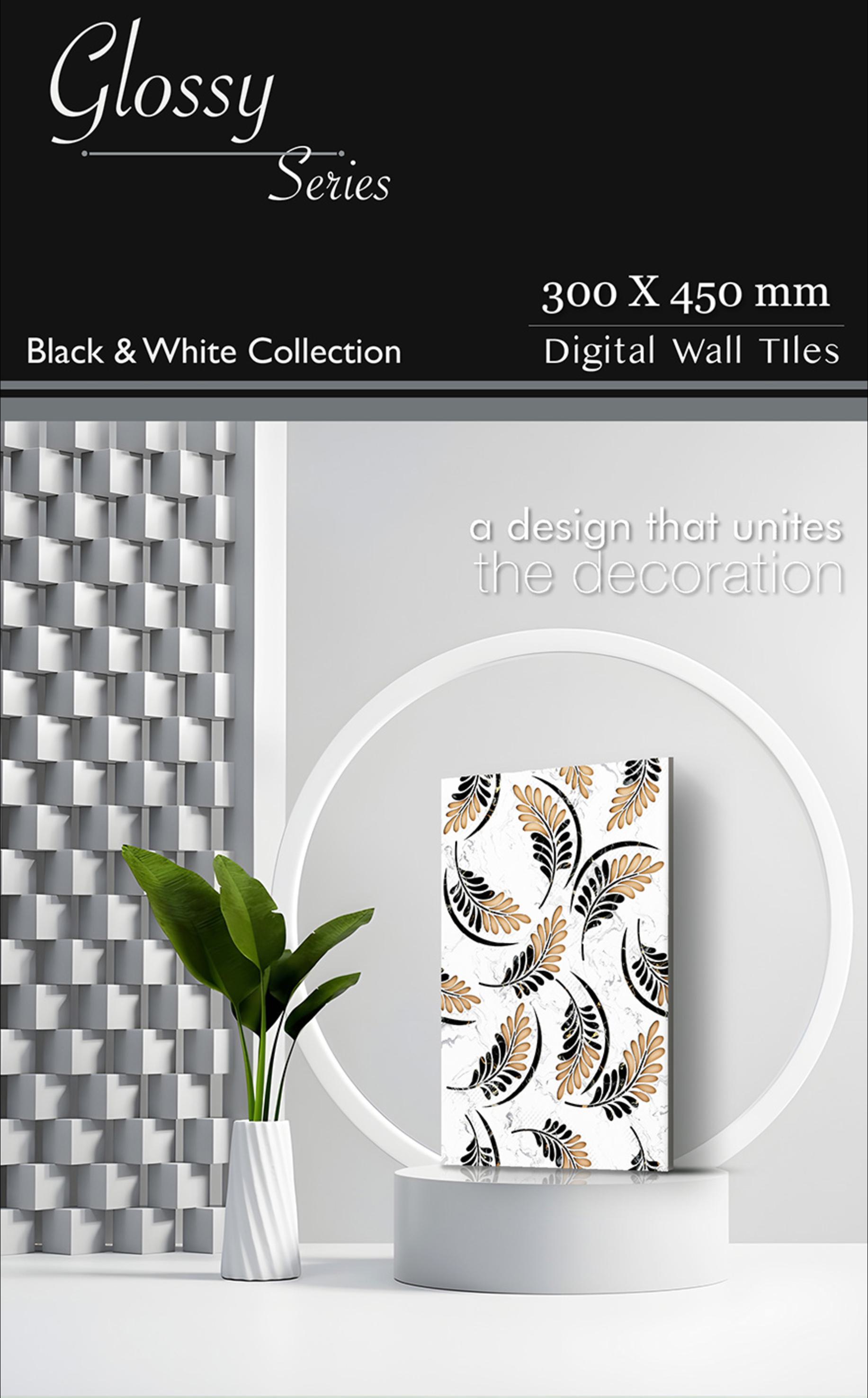 Black White Collection 01