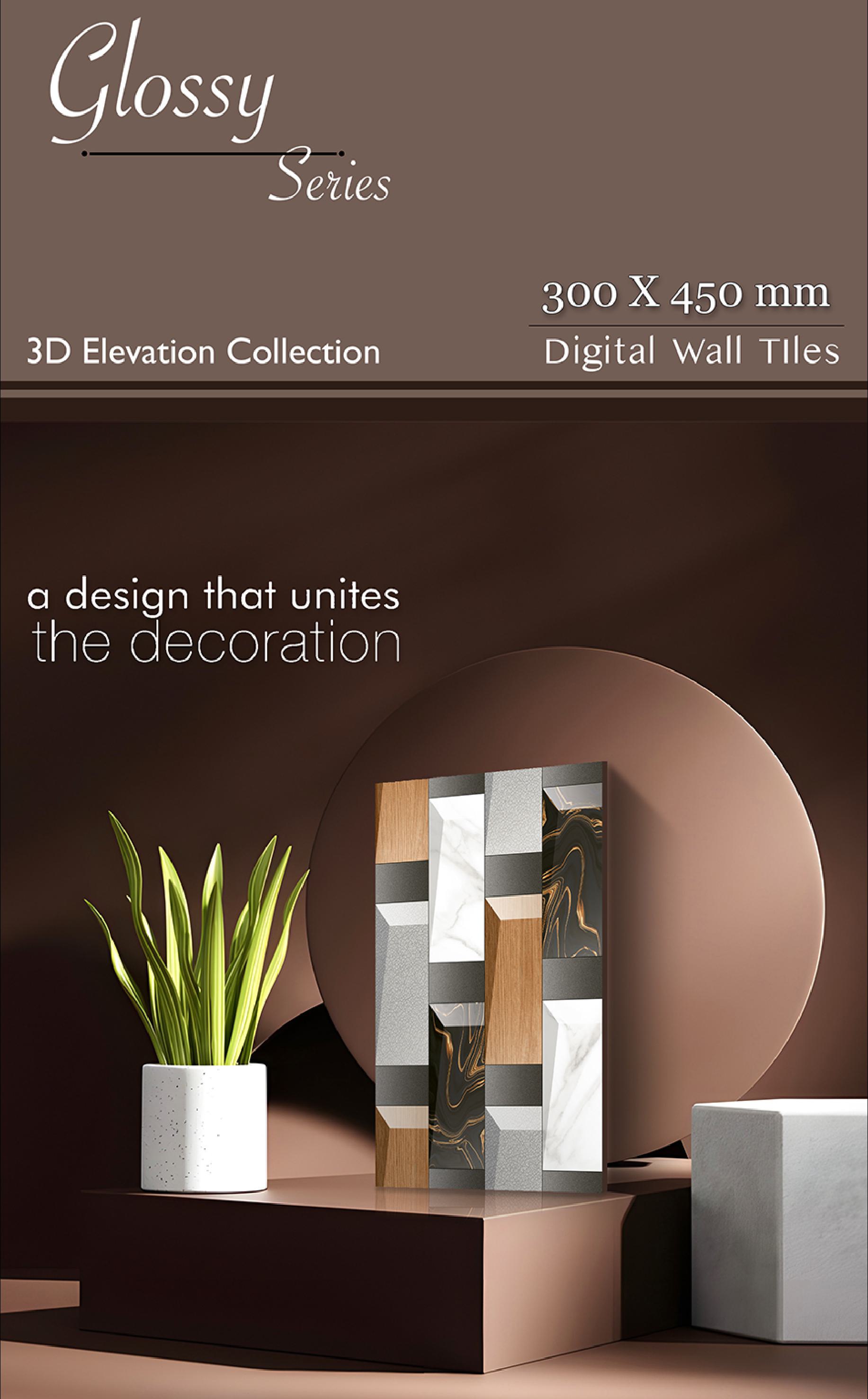3D Elevation Collection 01