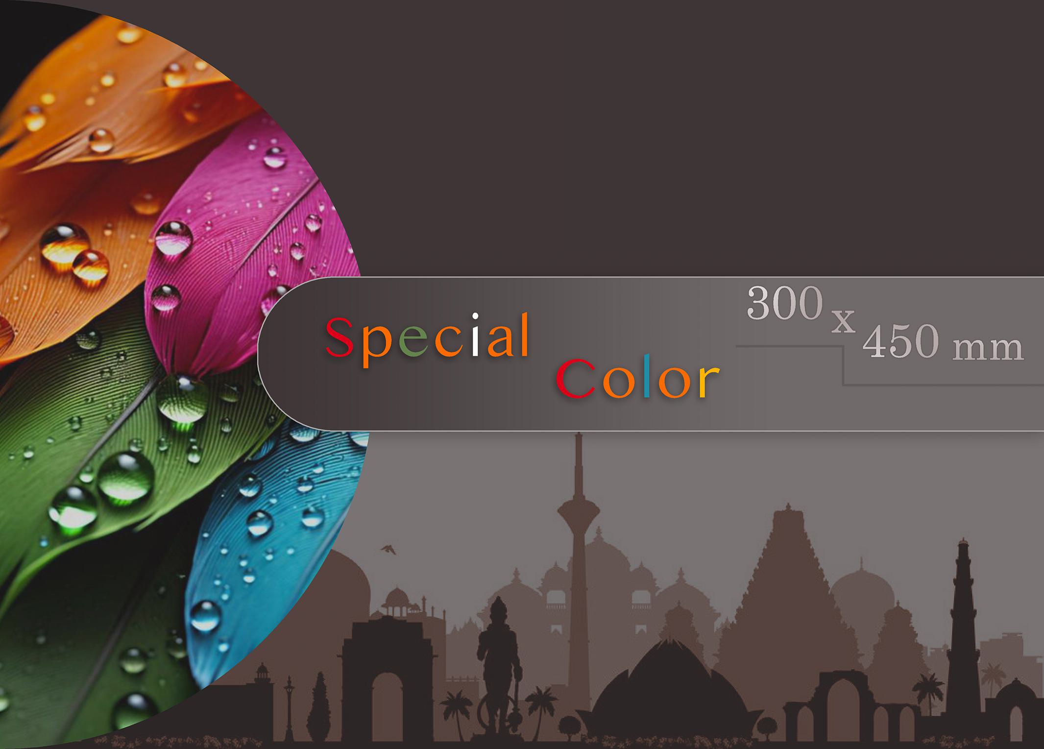 Special Color 01